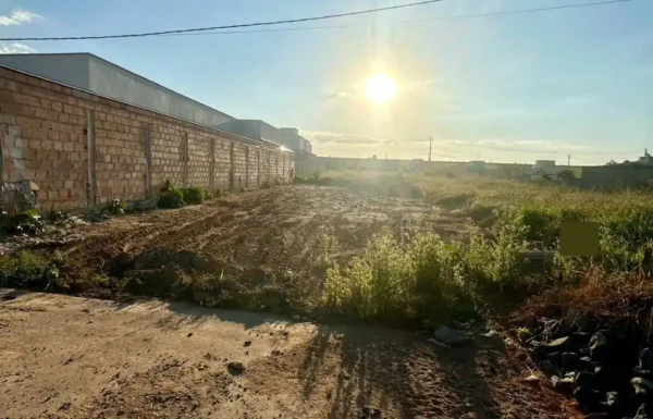 Design sem nome (1) (1)