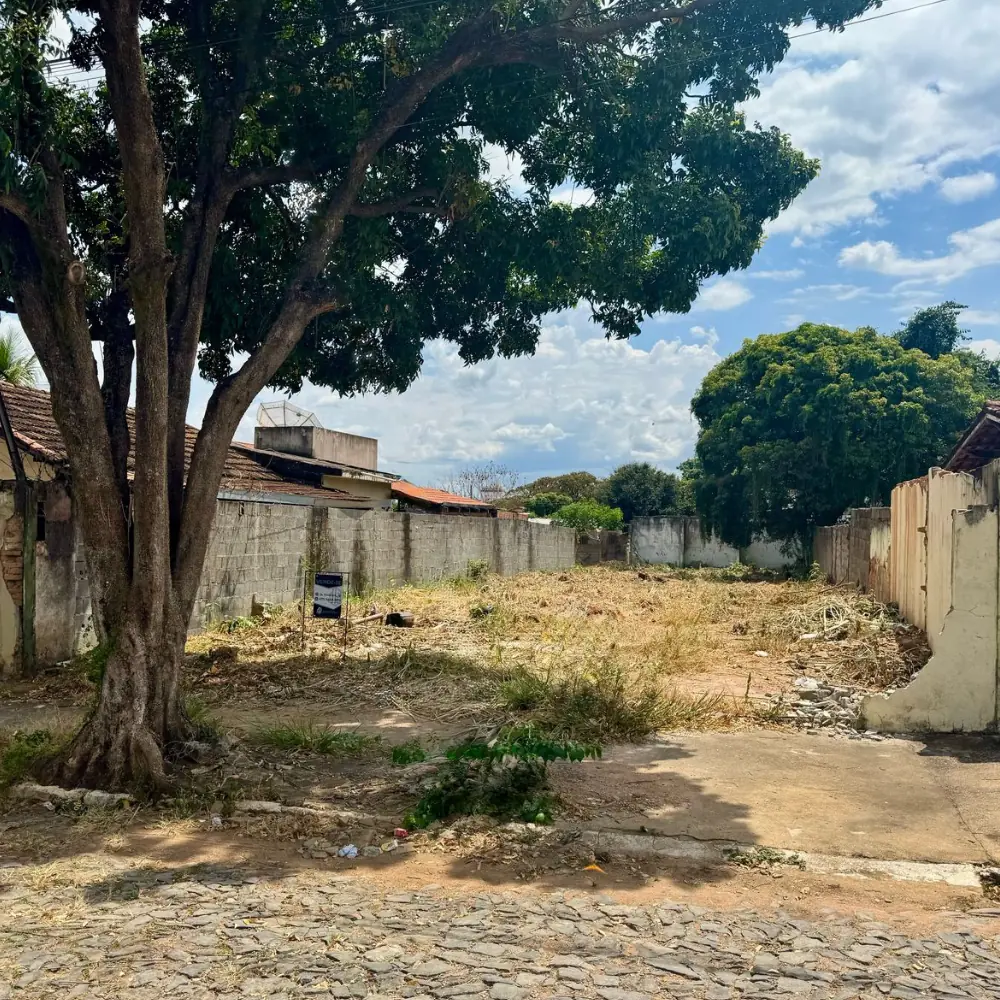 Design sem nome (1) (1)