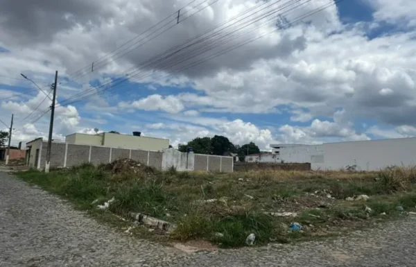 Design sem nome (10)