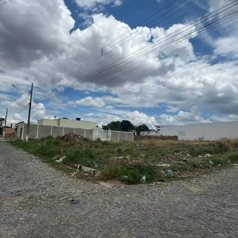 Design sem nome (10)