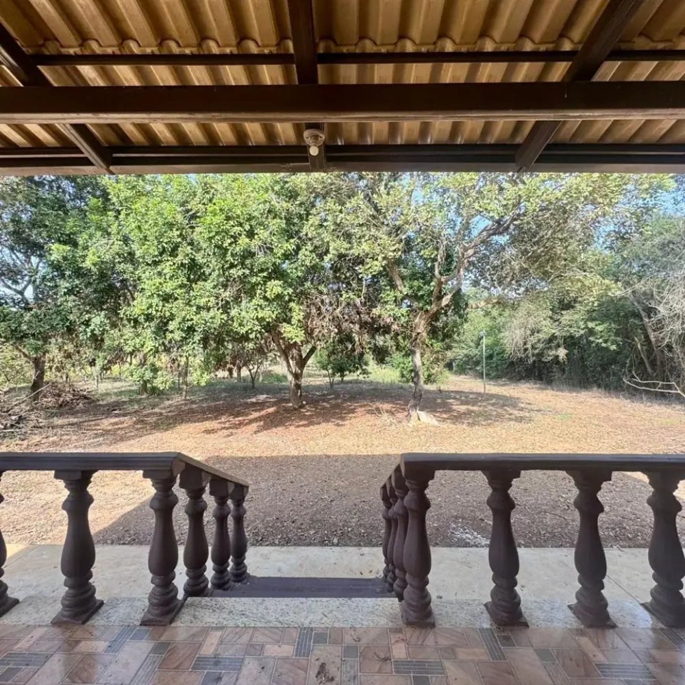 Design sem nome (100)