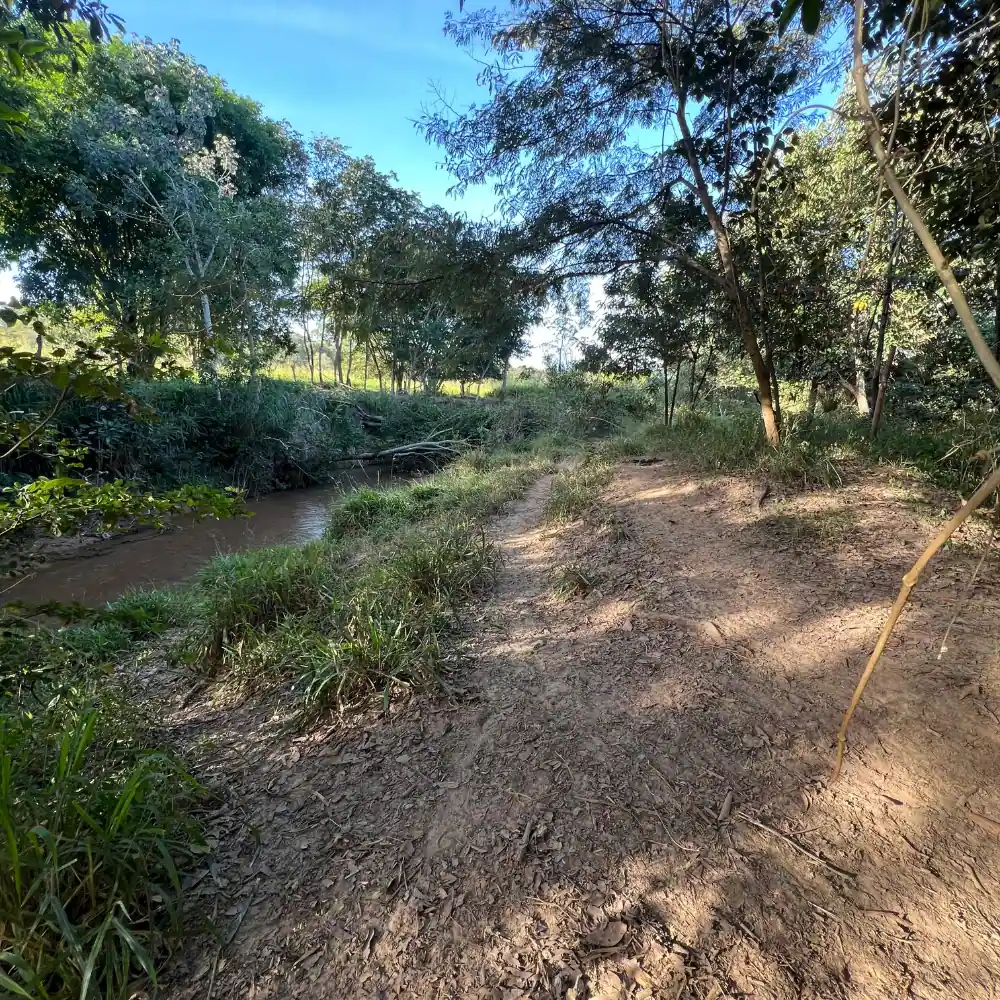 Design sem nome – 2025-08-18T100205.992