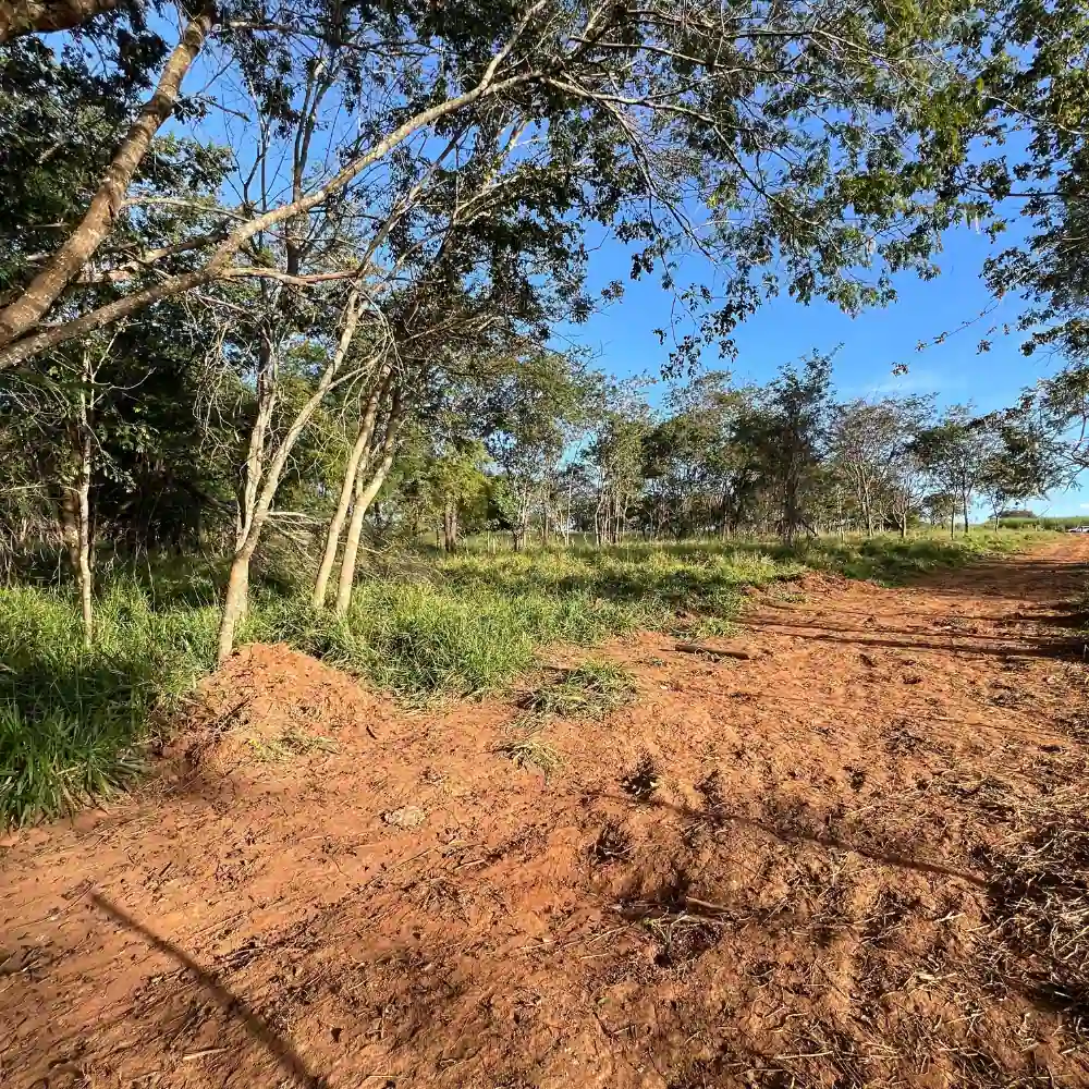 Design sem nome – 2025-08-18T100241.505