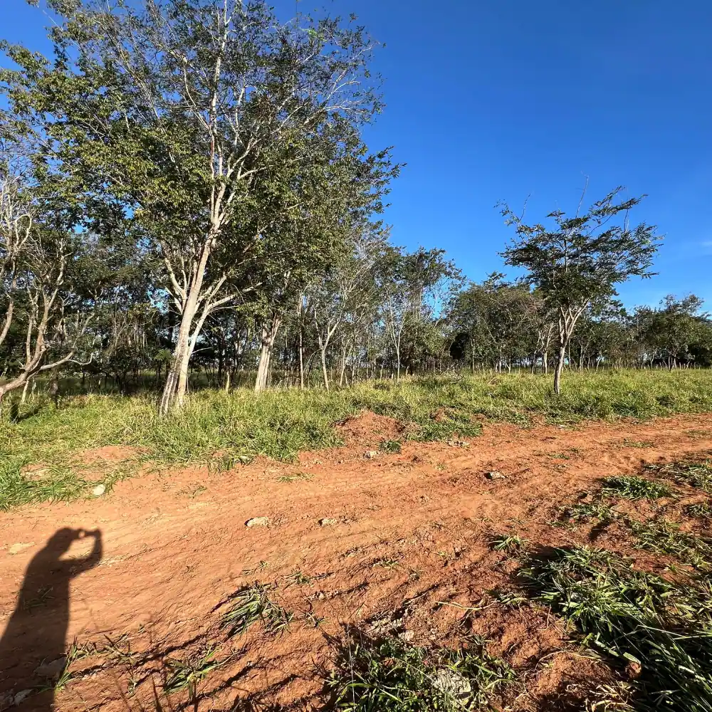 Design sem nome – 2025-08-18T100342.864