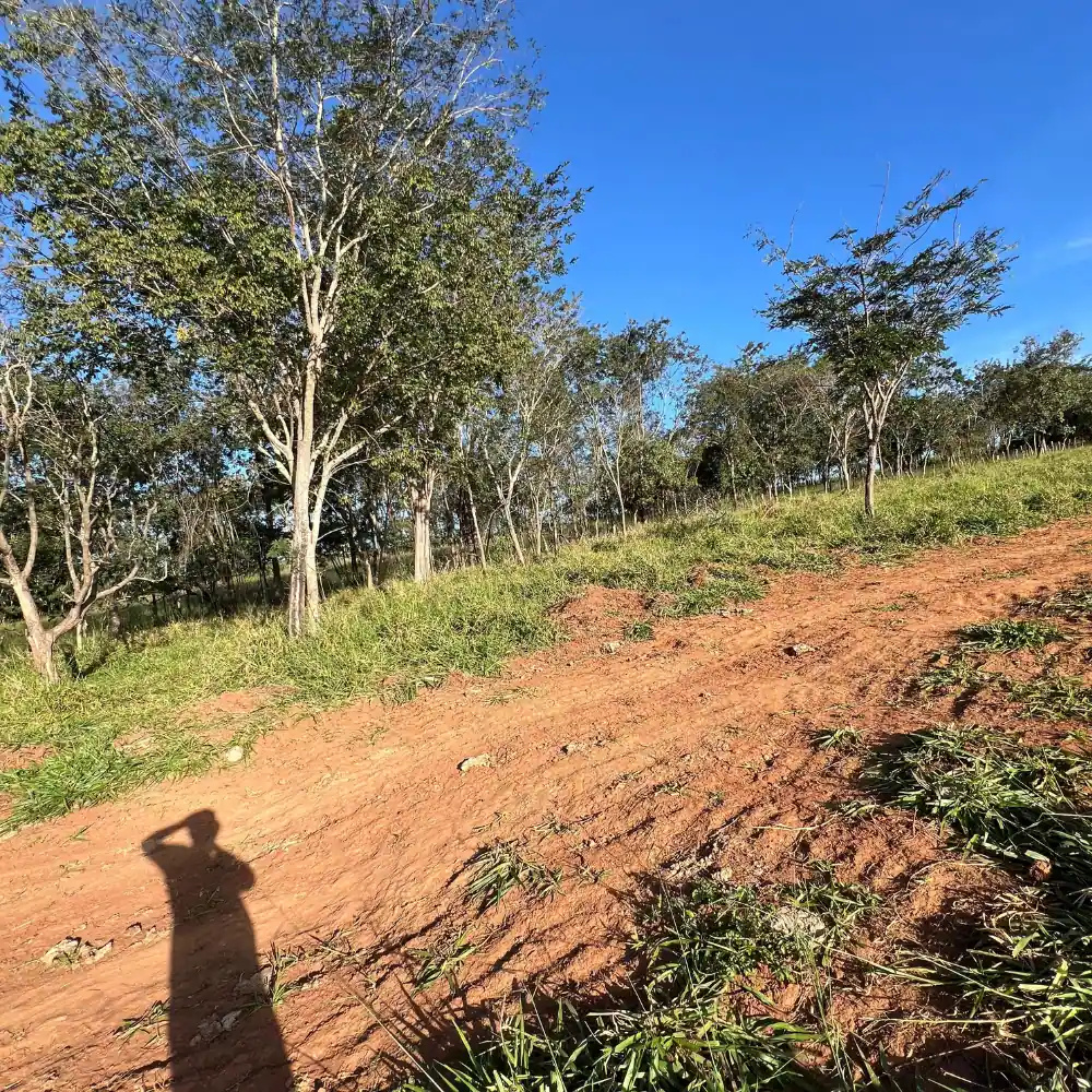 Design sem nome – 2025-08-18T100400.215 (1)