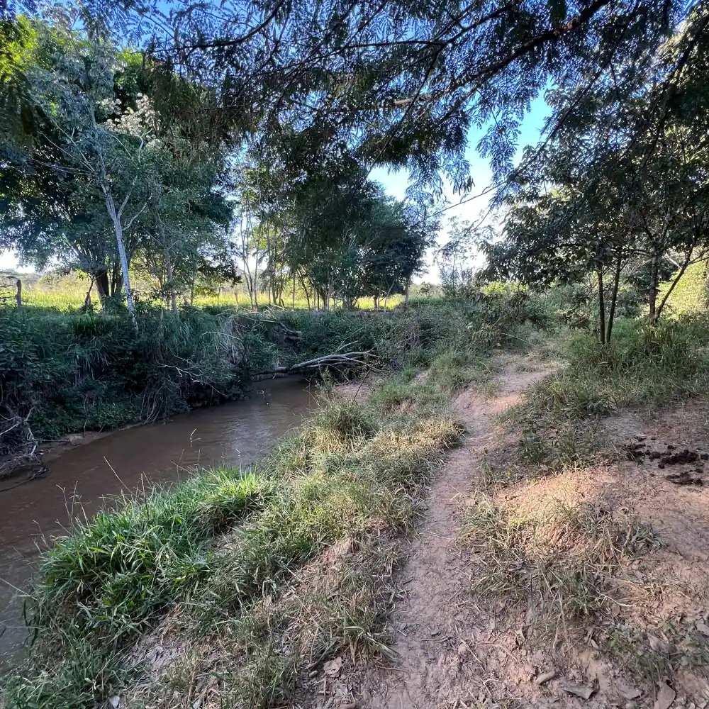 Design sem nome – 2025-08-18T100507.611