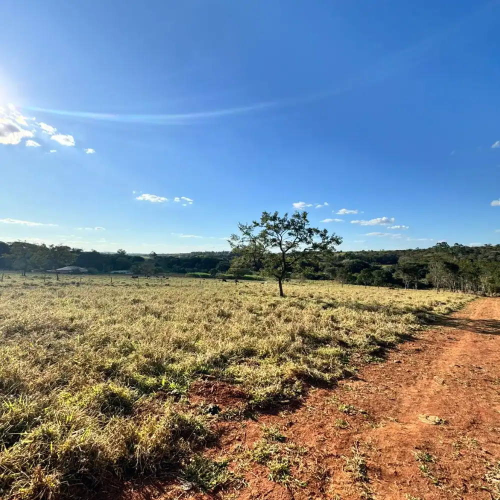 Design sem nome – 2025-08-18T100525.435