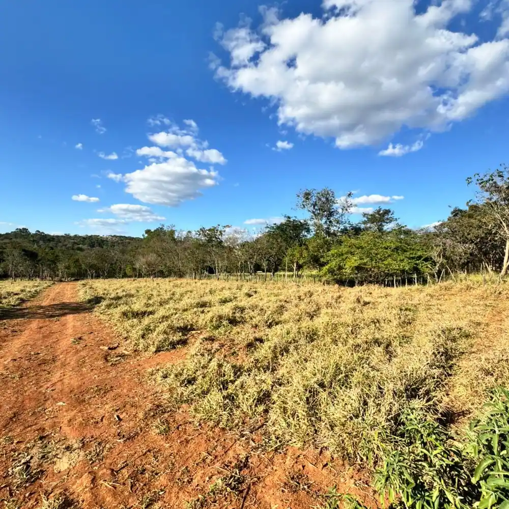 Design sem nome – 2025-08-18T100540.200