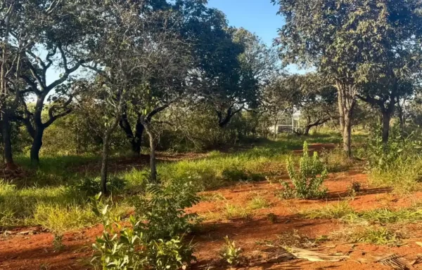 Design sem nome – 2025-08-18T100758.781