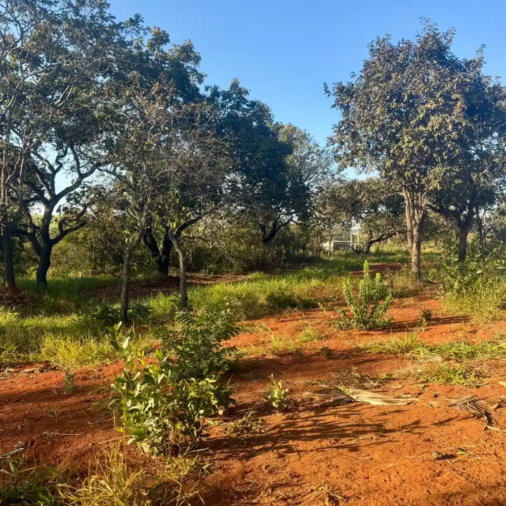 Design sem nome – 2025-08-18T100758.781