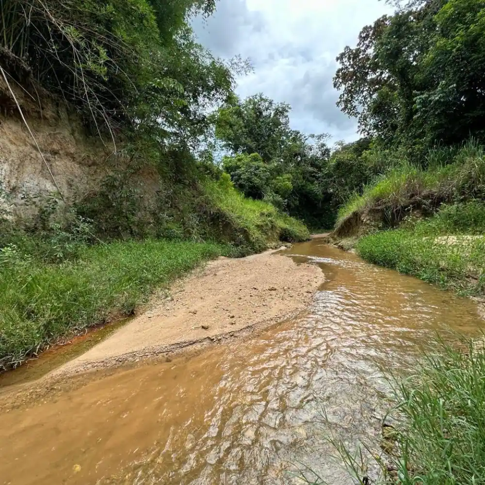 Design sem nome – 2025-08-18T102357.069