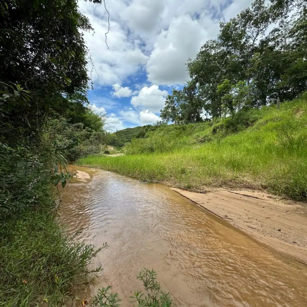 Design sem nome – 2025-08-18T102517.071