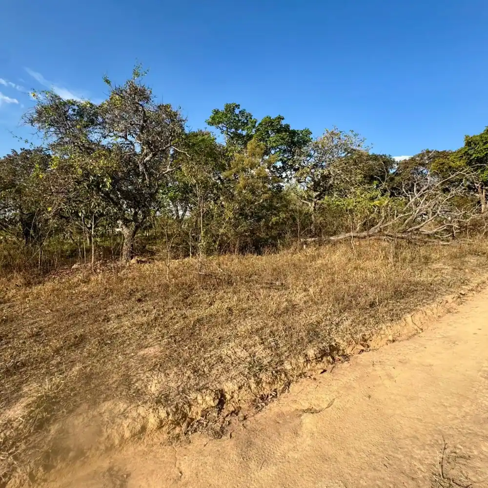 Design sem nome – 2025-08-18T102755.453