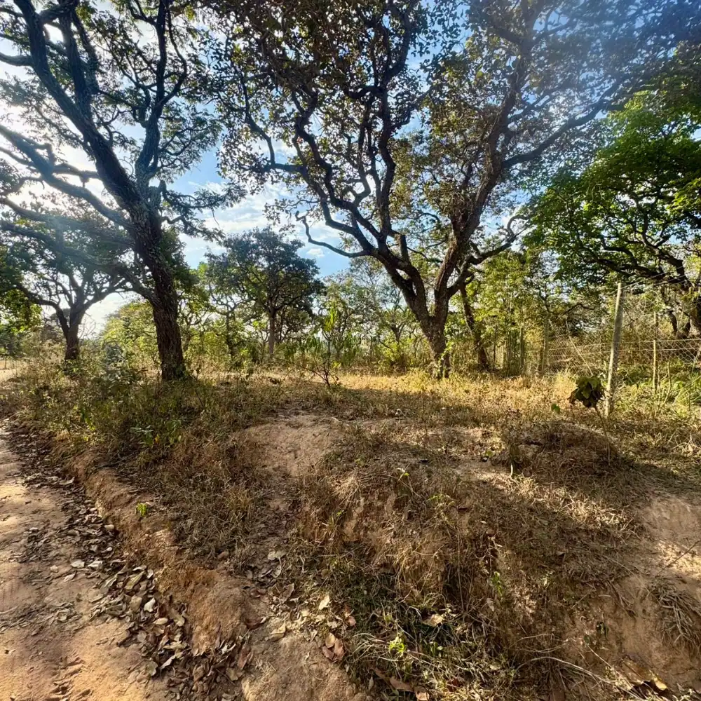 Design sem nome – 2025-08-18T102934.041