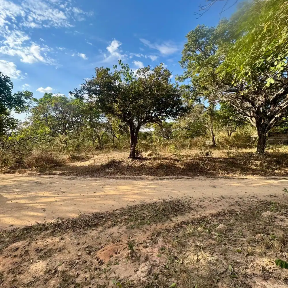 Design sem nome – 2025-08-18T102948.535