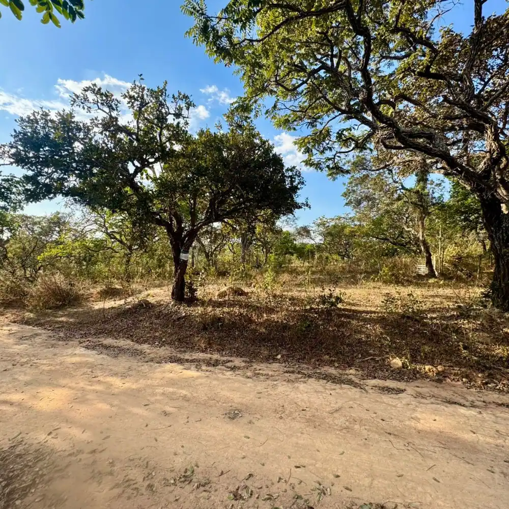 Design sem nome – 2025-08-18T103000.150