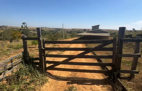 Design sem nome – 2025-08-18T103504.738