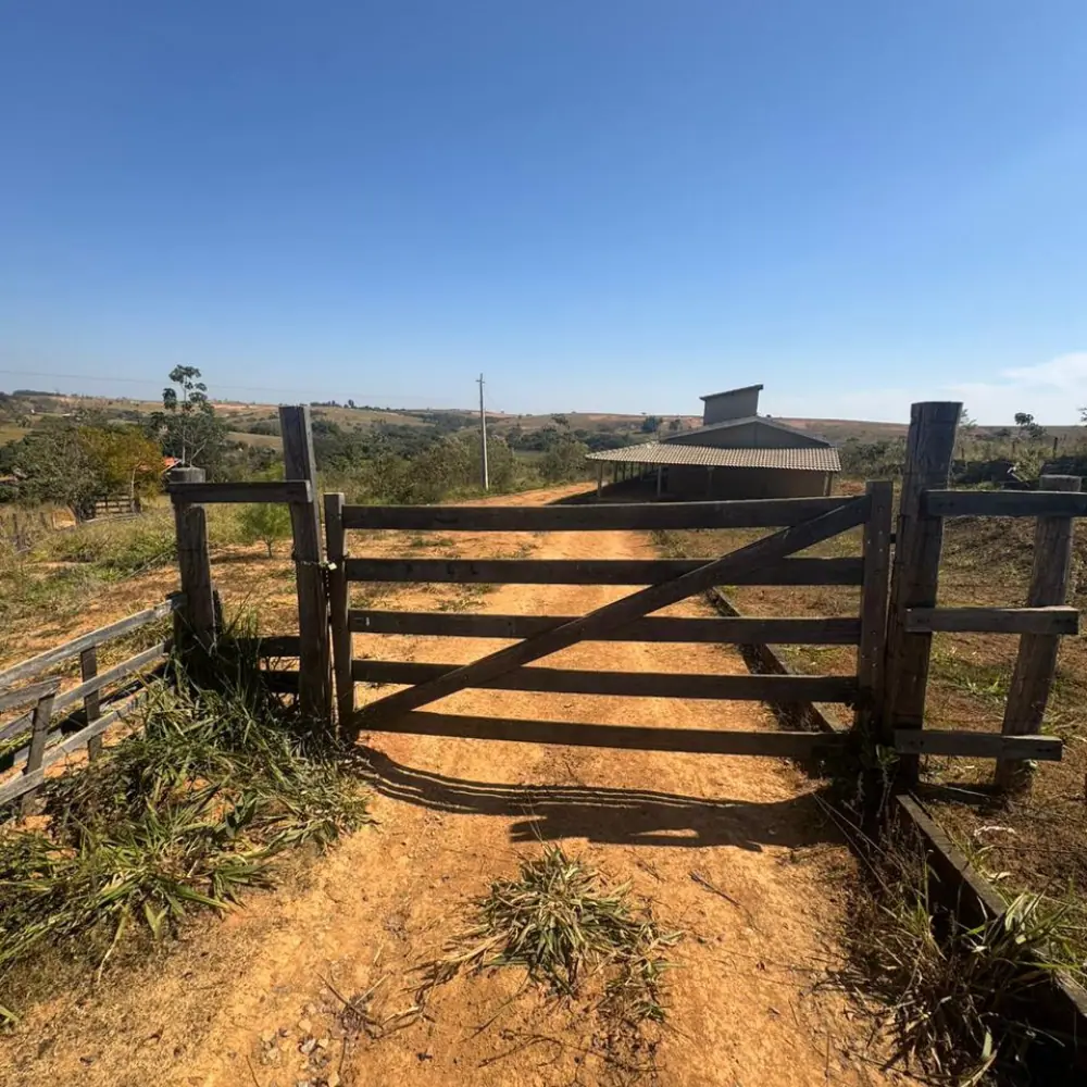 Design sem nome – 2025-08-18T103504.738