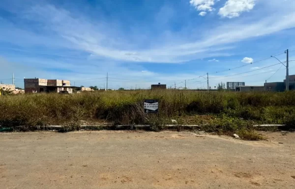 Design sem nome (30) (1)