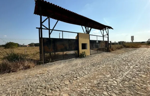 Design sem nome (31)