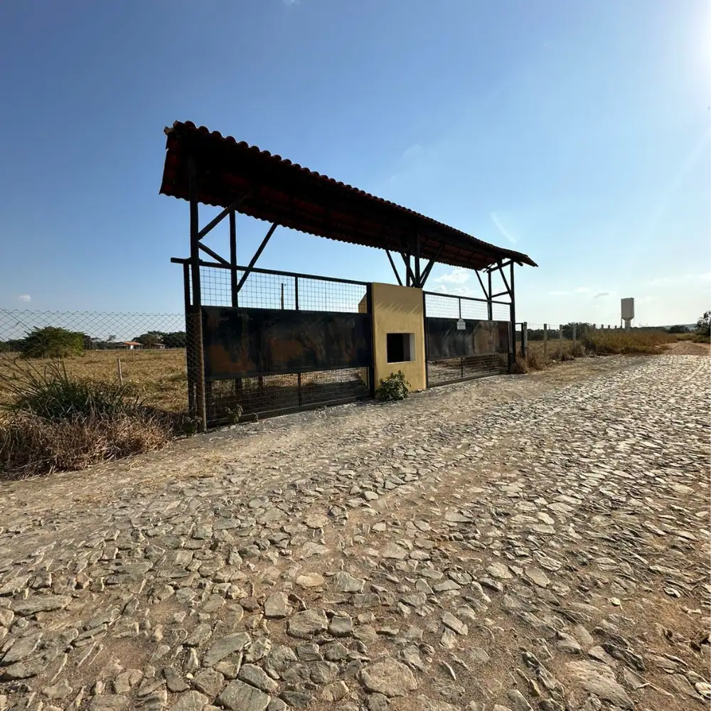 Design sem nome (31)