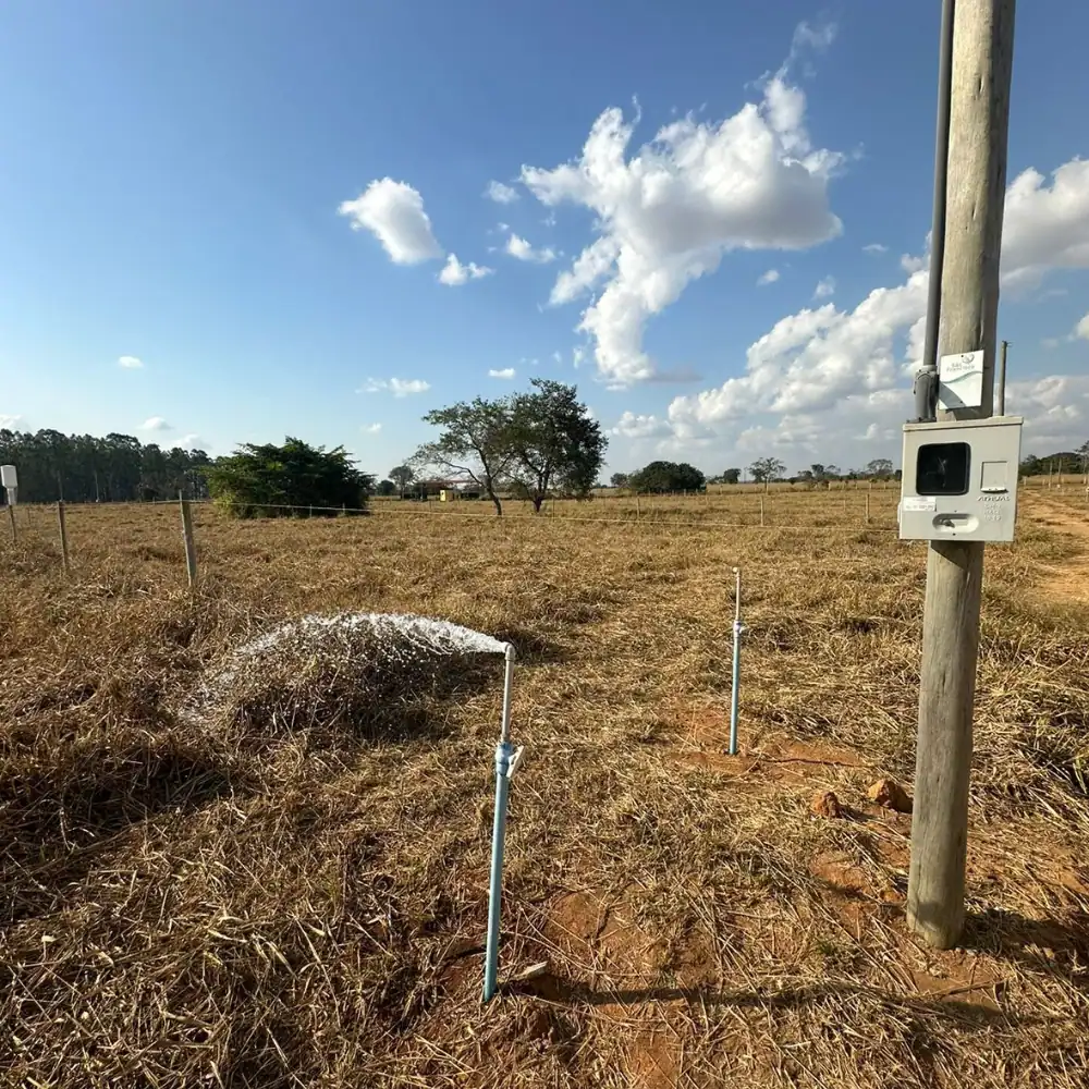 Design sem nome (32)