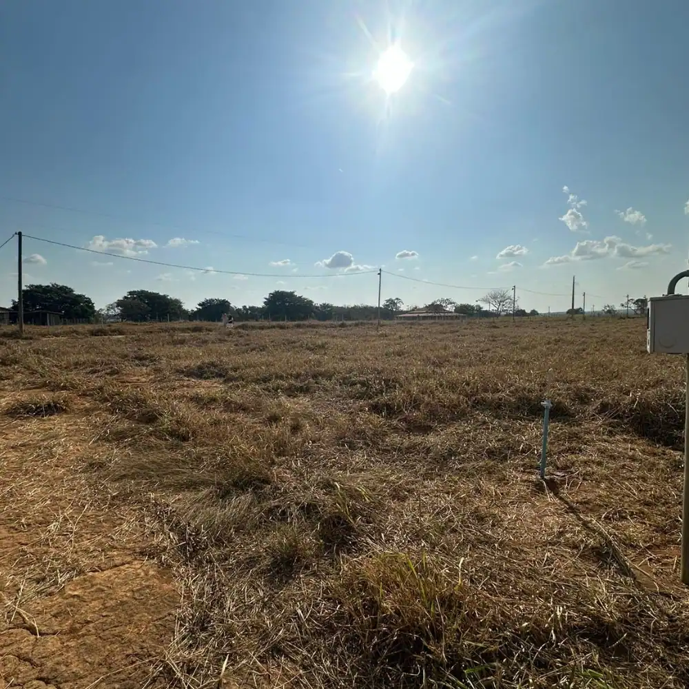 Design sem nome (34)