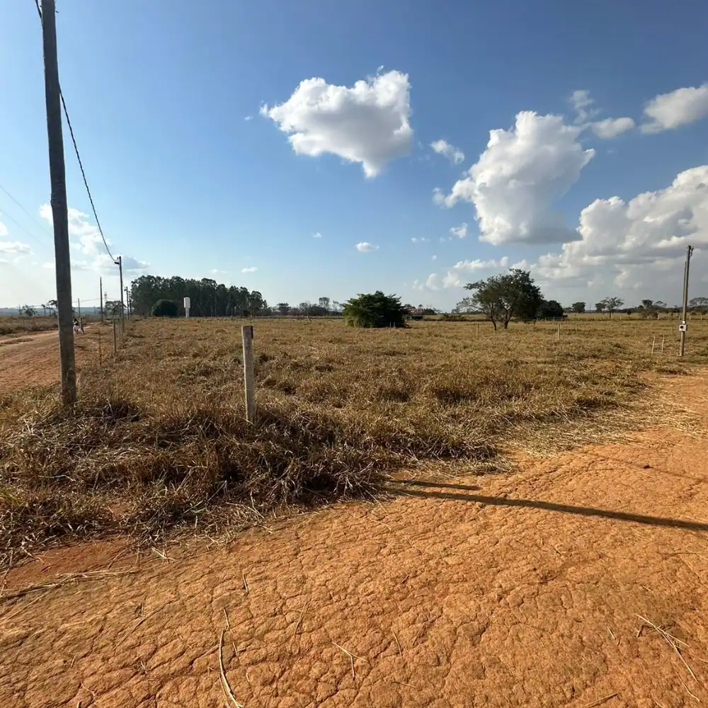 Design sem nome (35)