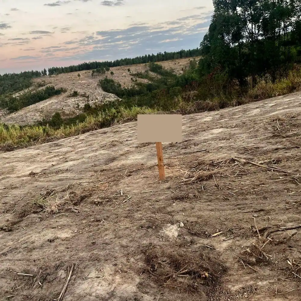 Design sem nome (36)