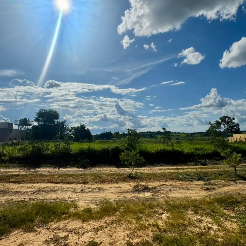 Design sem nome (62)