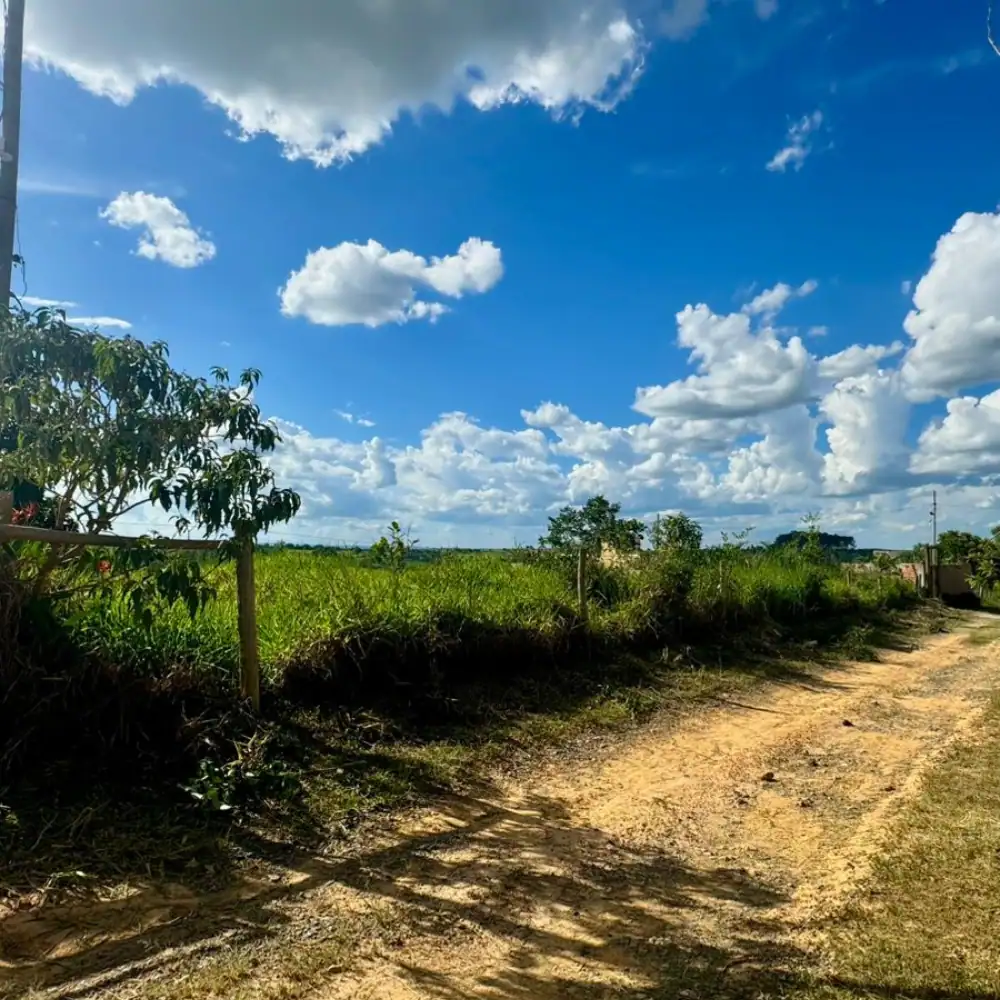 Design sem nome (63)