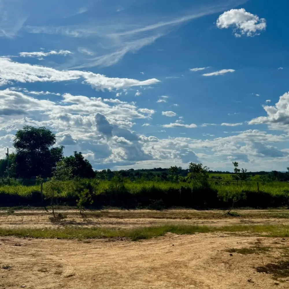 Design sem nome (64)