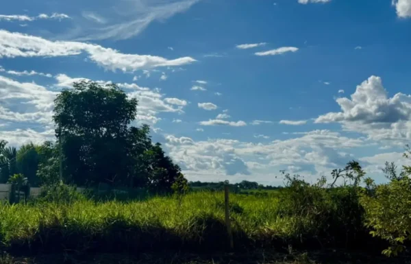 Design sem nome (65)