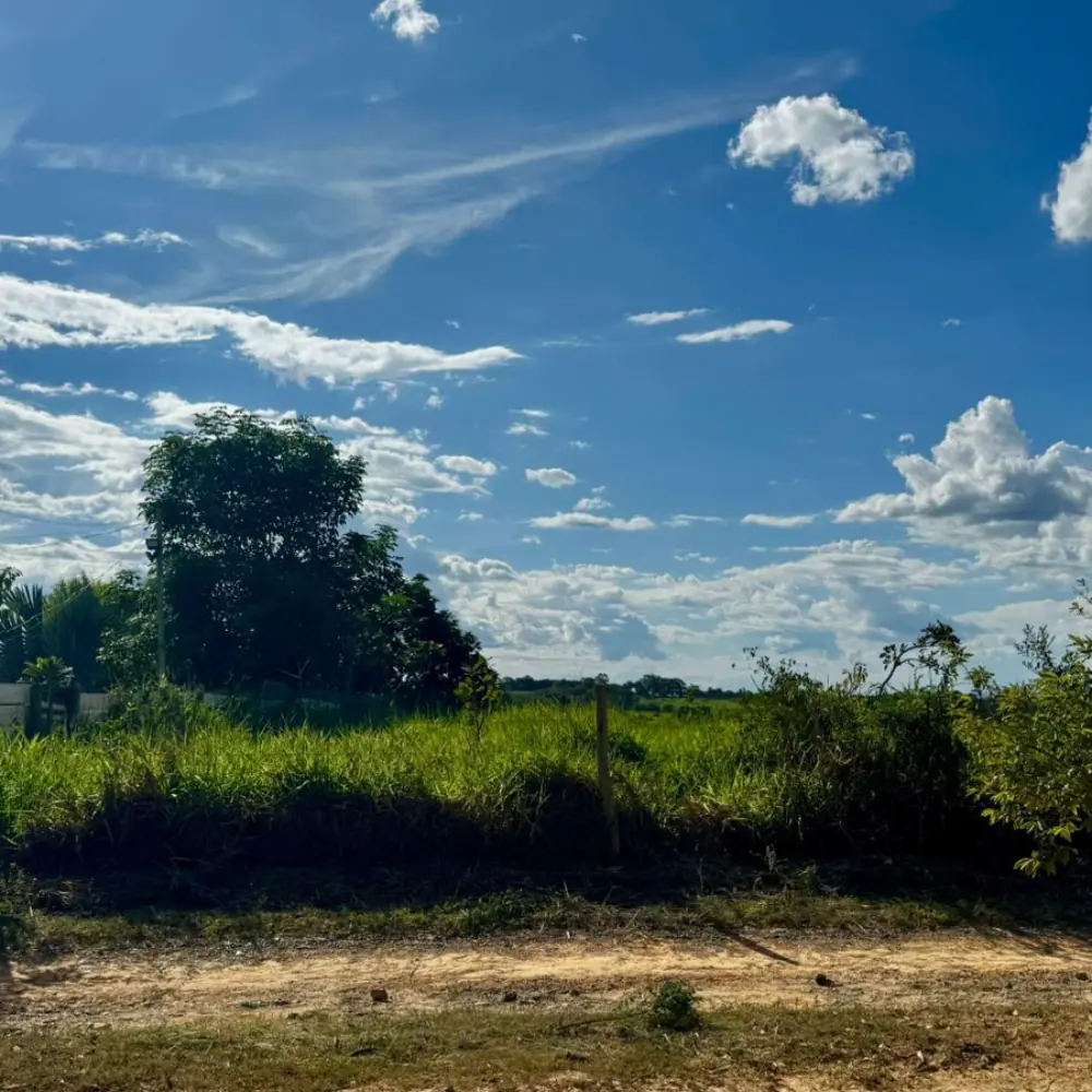 Design sem nome (65)