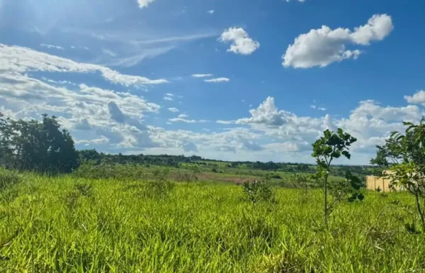 Design sem nome (66)