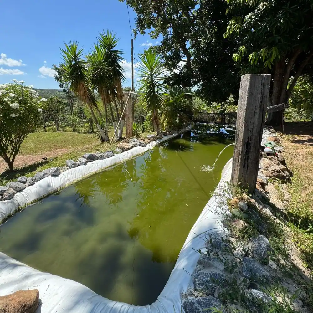 Design sem nome (74)