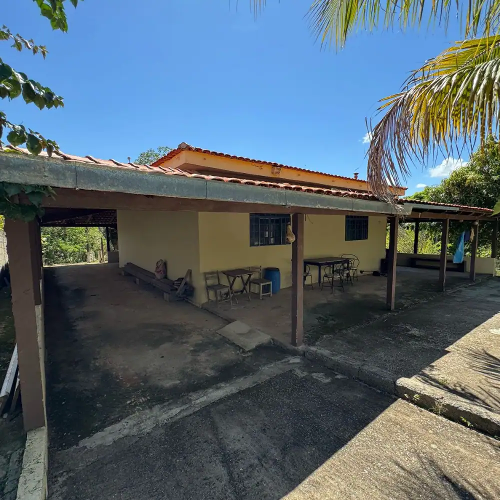 Design sem nome (75)