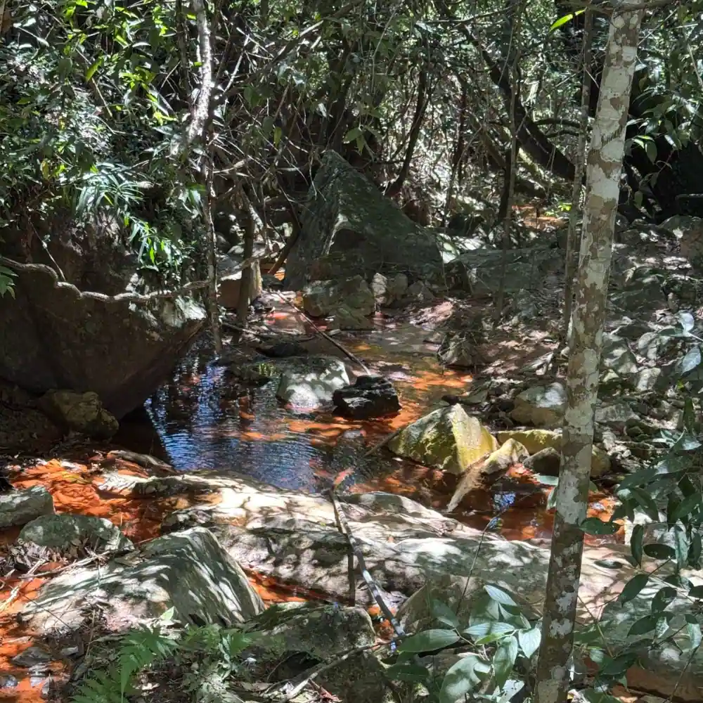 Design sem nome (76)