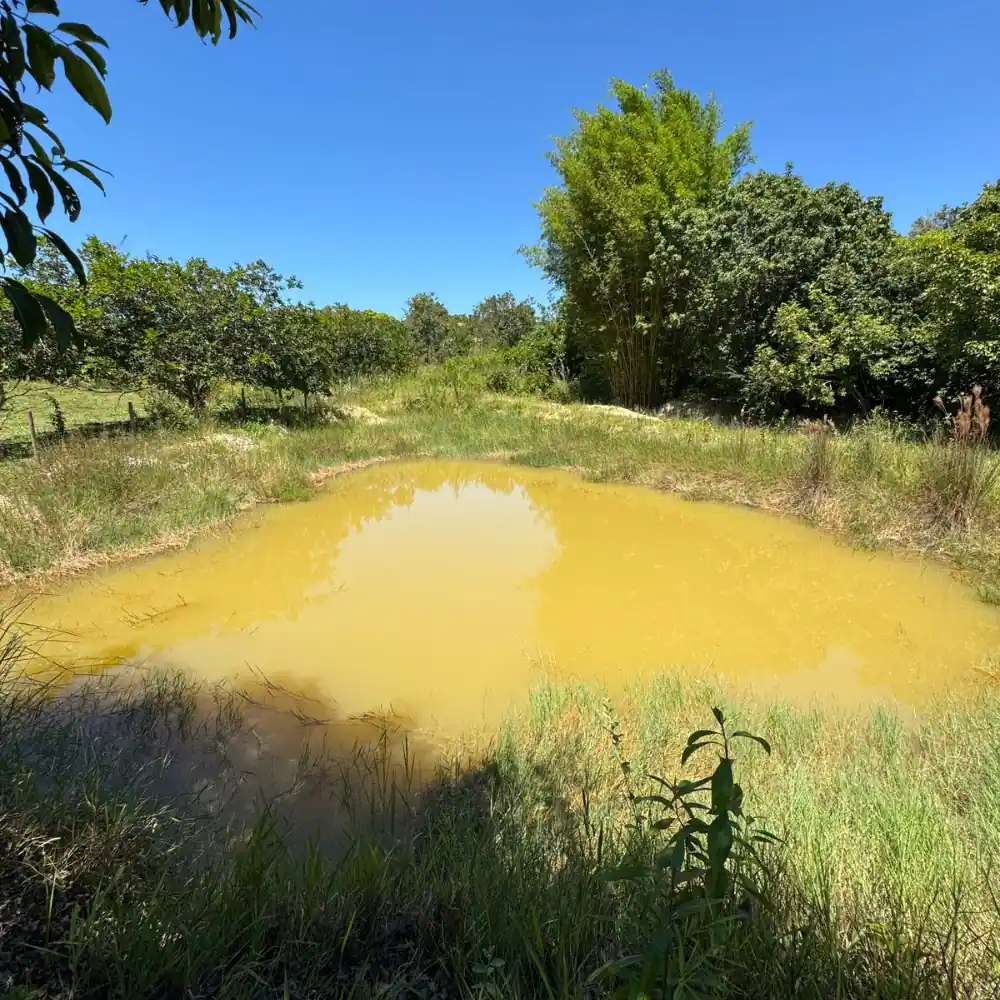 Design sem nome (78)