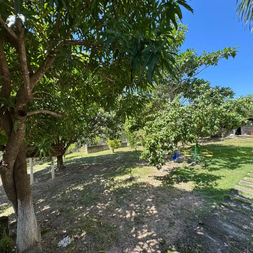 Design sem nome (79)