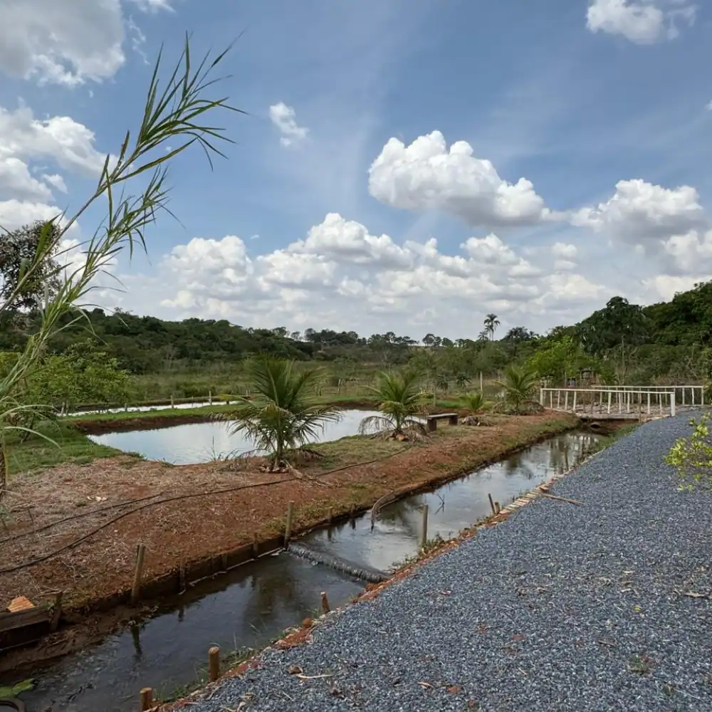 Design sem nome (86)