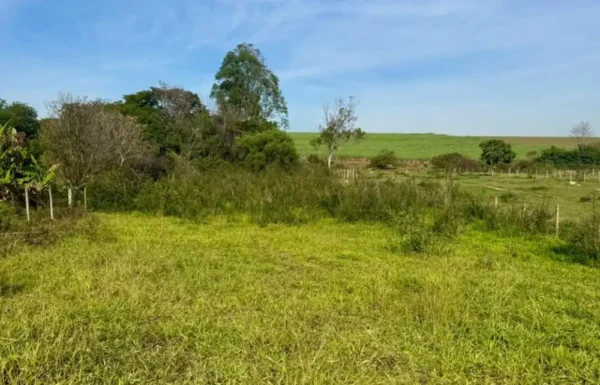 Design sem nome (90)