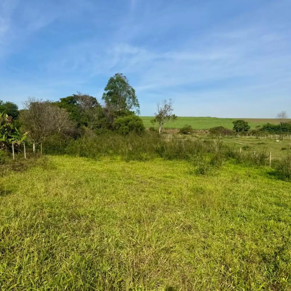 Design sem nome (90)