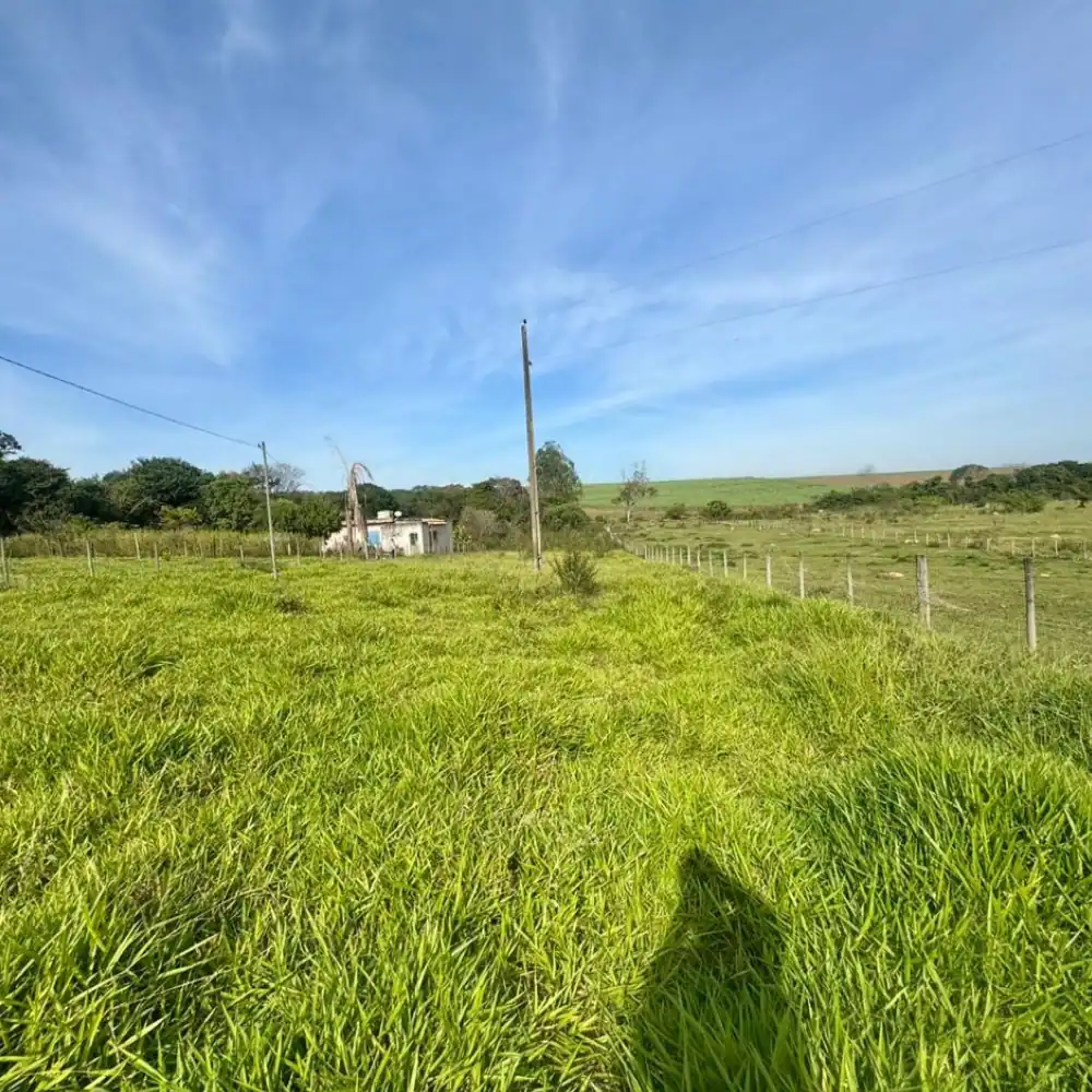 Design sem nome (91)