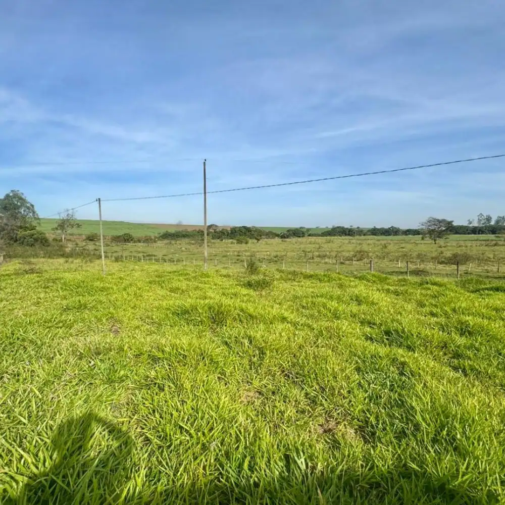 Design sem nome (92)