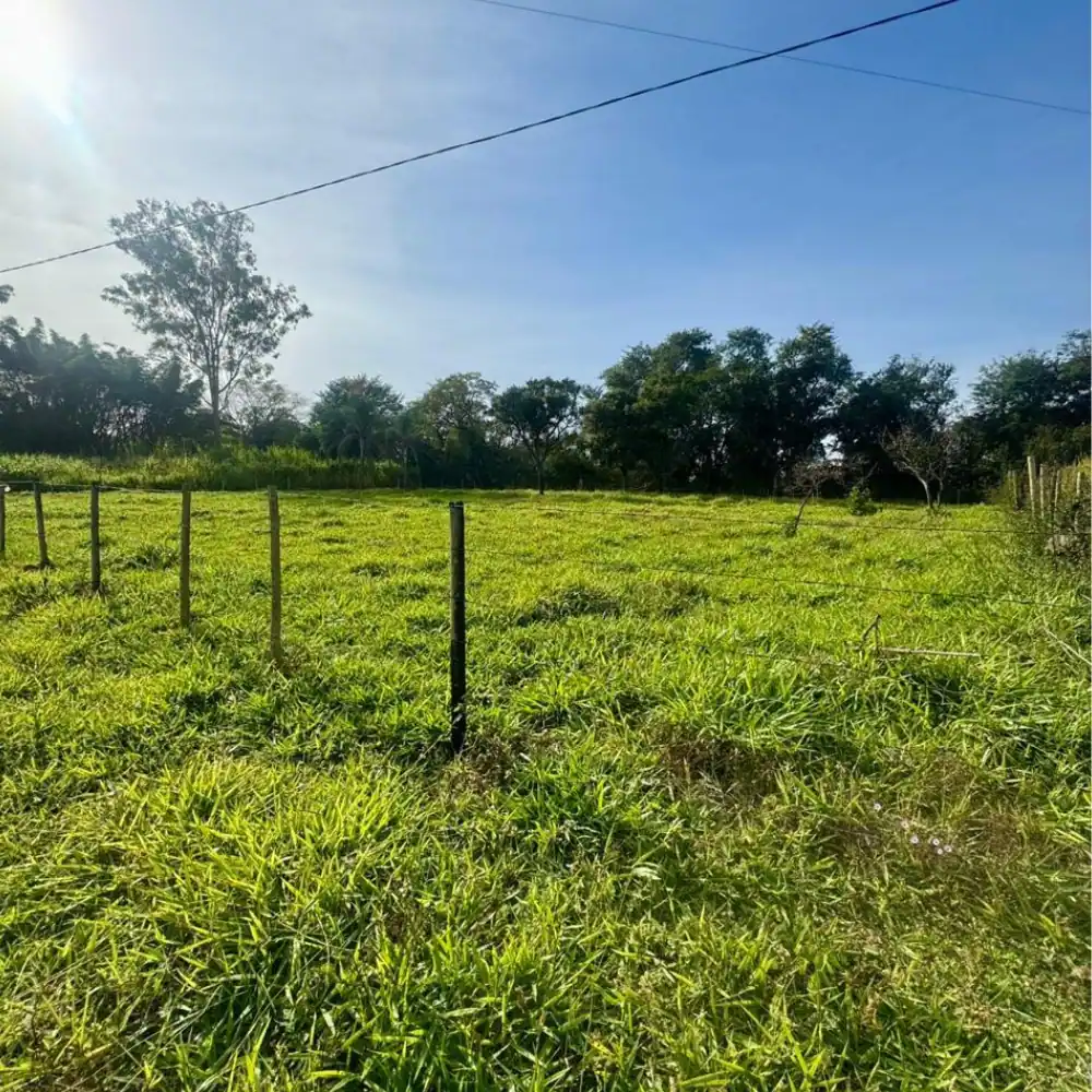 Design sem nome (93)