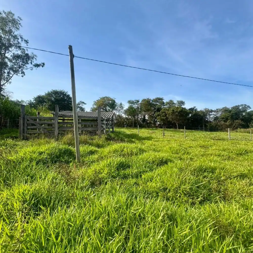 Design sem nome (94)