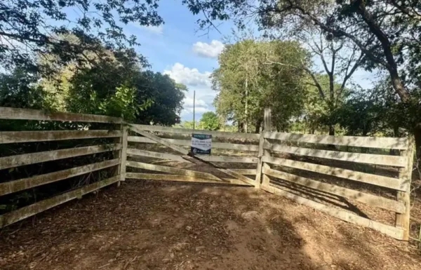 Design sem nome (95)