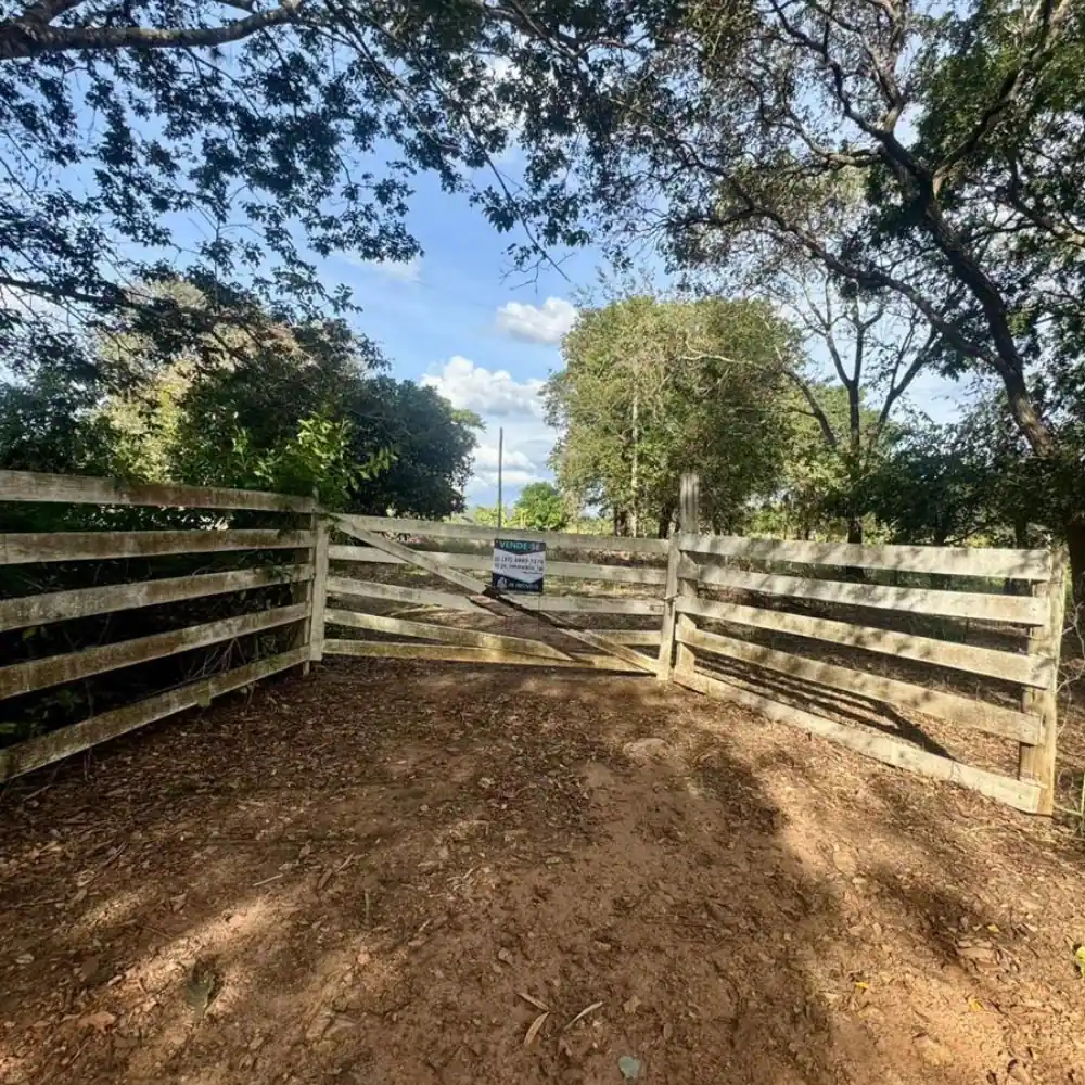 Design sem nome (95)