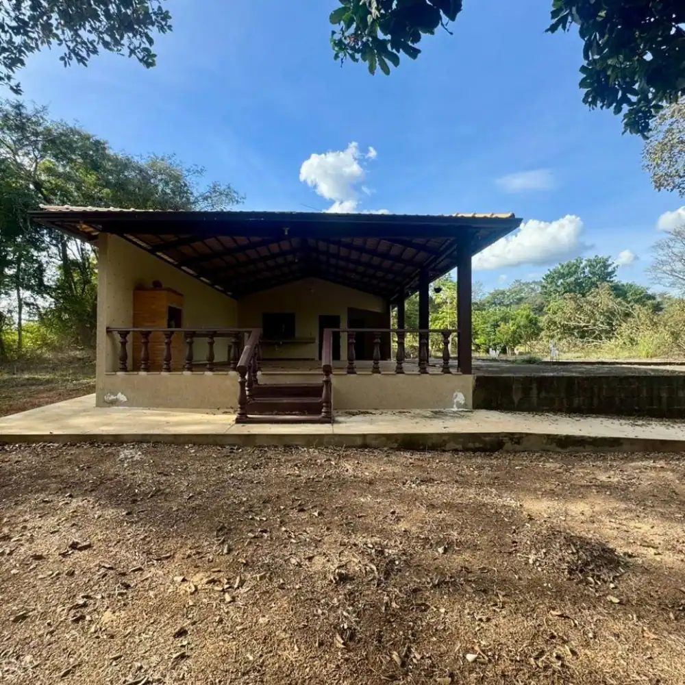 Design sem nome (96)